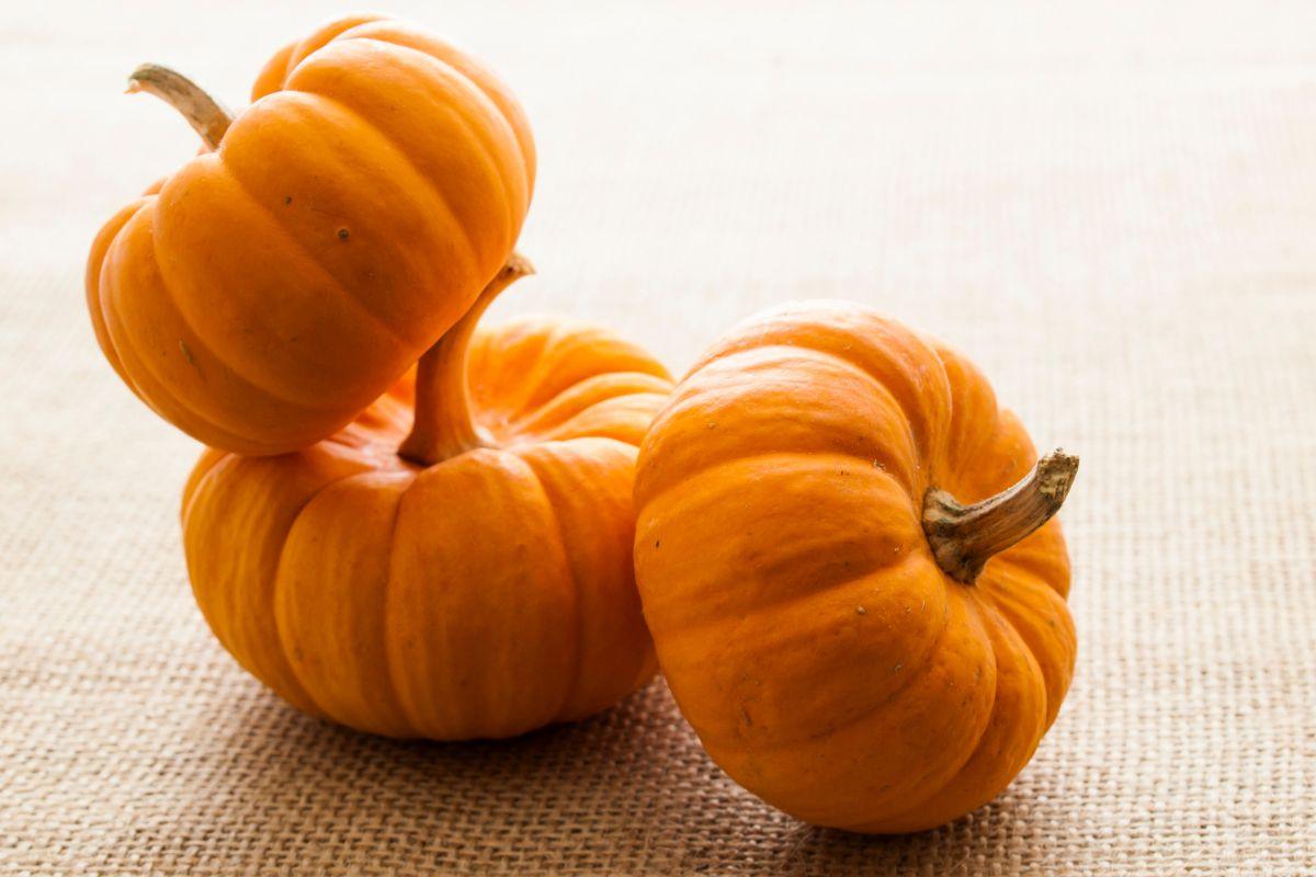 Kaip pasirinkti skanų moliūgą: patarimai, kurių verta laikytis rudenį