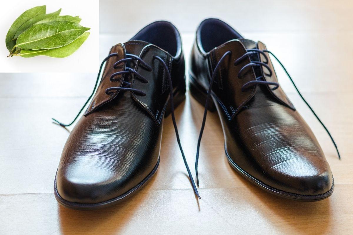 Kodėl verta dėti lauro lapus į batus nakčiai: paprastas būdas pašalinti kvapą