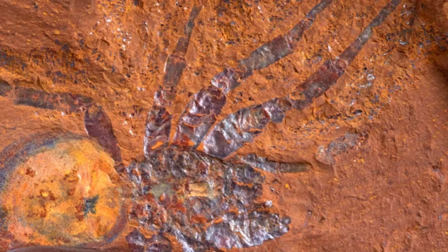 Įvairios formos dinozaurų pėdsakai akmenyje