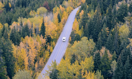 Išvykų transporto planavimas Lietuvoje: kaip išvengti streso ir chaos