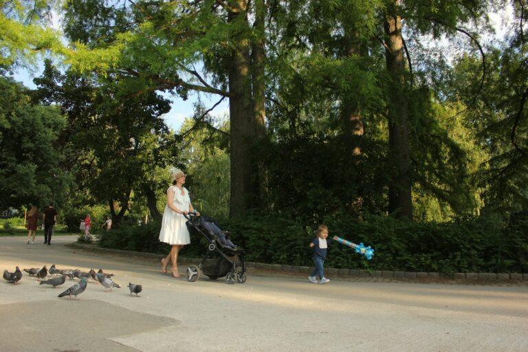 Teminė iliustracija